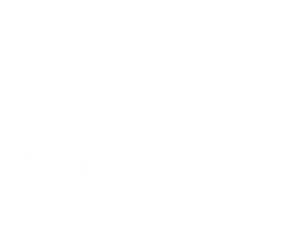 Premium Adidas products available at Ink Bomb Society