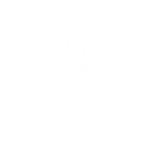 Premium Independant Trading Co. products available at Ink Bomb Society